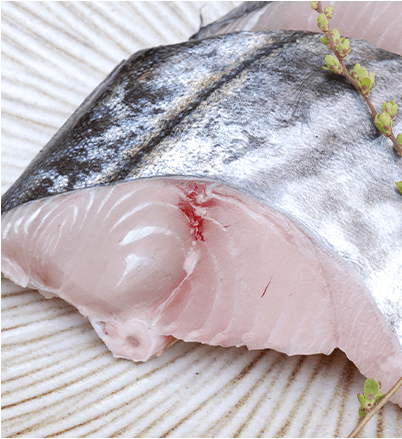 白身魚ムニエル弁当のイメージ